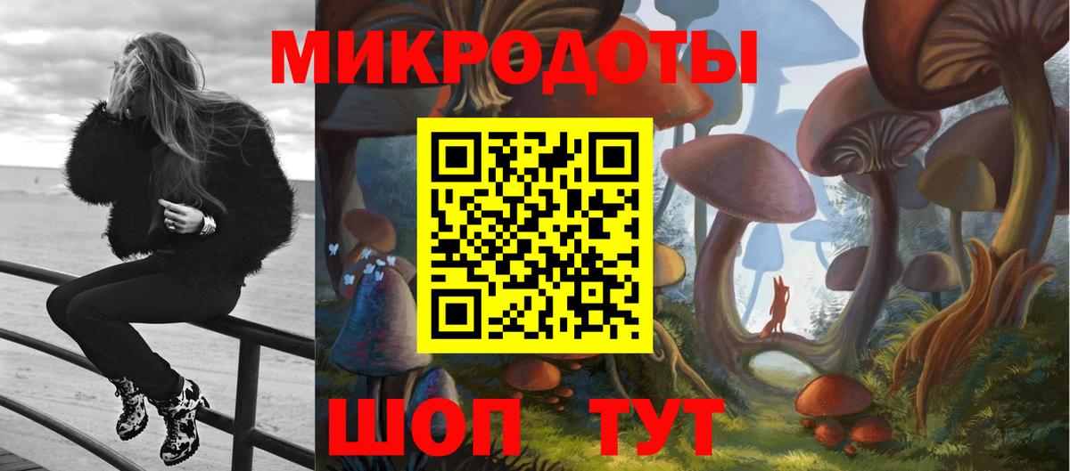 Спасск-Дальний  Псилоцибиновые грибы Cubensis  Вход с VPN 